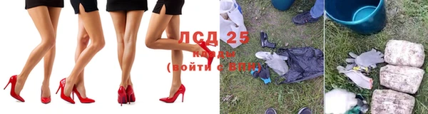 твердый Арсеньев