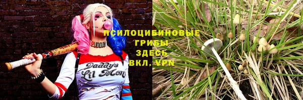 гидропоника Армянск