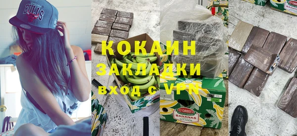 твердый Арсеньев