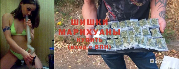 твердый Арсеньев