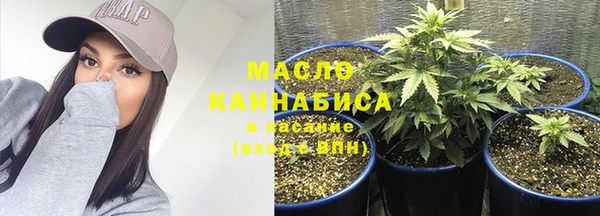 твердый Арсеньев